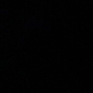 Meet your Posher, Sonya